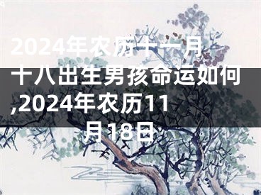 2024年农历十一月十八出生男孩命运如何,2024年农历11月18日