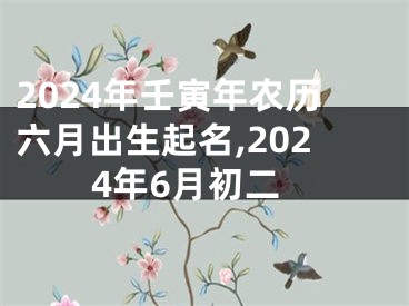 2024年壬寅年农历六月出生起名,2024年6月初二