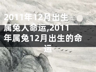 2011年12月出生属兔人命运,2011年属兔12月出生的命运