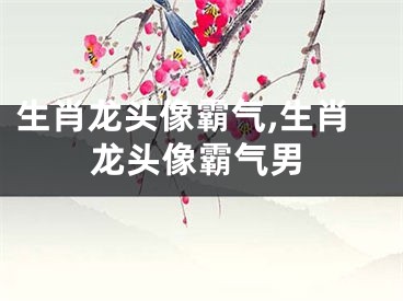 生肖龙头像霸气,生肖龙头像霸气男