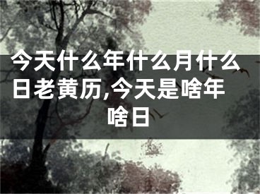今天什么年什么月什么日老黄历,今天是啥年啥日