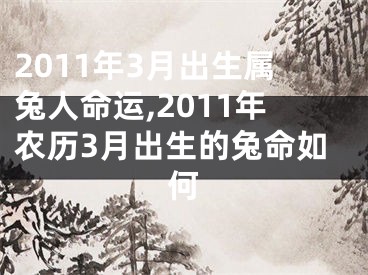 2011年3月出生属兔人命运,2011年农历3月出生的兔命如何