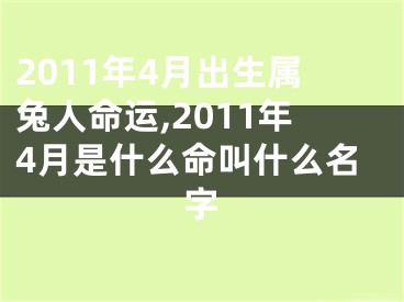 2011年4月出生属兔人命运,2011年4月是什么命叫什么名字