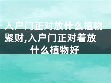 入户门正对放什么植物聚财,入户门正对着放什么植物好