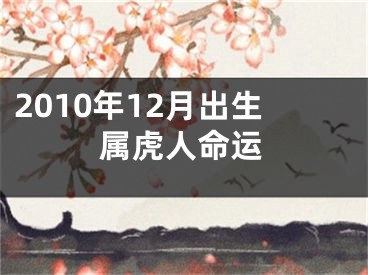 2010年12月出生属虎人命运