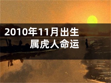 2010年11月出生属虎人命运