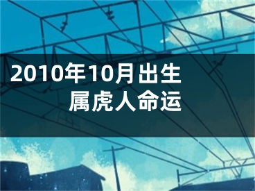 2010年10月出生属虎人命运