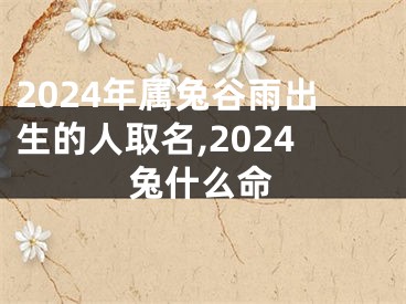 2024年属兔谷雨出生的人取名,2024兔什么命