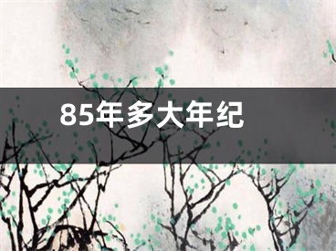 85年多大年纪