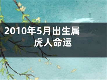 2010年5月出生属虎人命运
