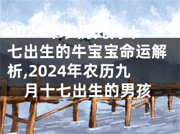 2024年农历九月十七出生的牛宝宝命运解析,2024年农历九月十七出生的男孩