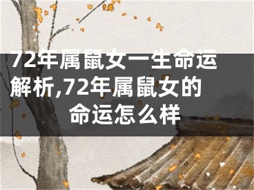 72年属鼠女一生命运解析,72年属鼠女的命运怎么样