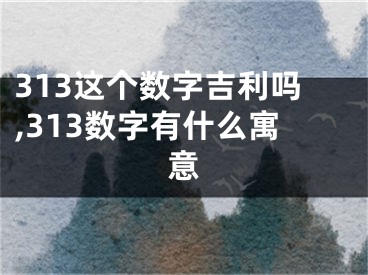 313这个数字吉利吗,313数字有什么寓意