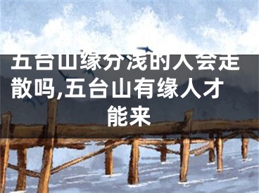 五台山缘分浅的人会走散吗,五台山有缘人才能来