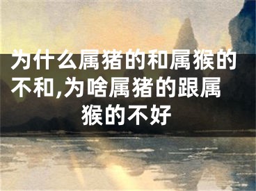 为什么属猪的和属猴的不和,为啥属猪的跟属猴的不好