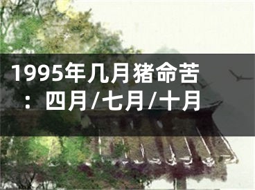 1995年几月猪命苦：四月/七月/十月