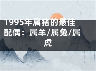 1995年属猪的最佳配偶：属羊/属兔/属虎