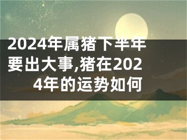 2024年属猪下半年要出大事,猪在2024年的运势如何