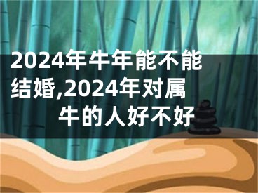 2024年牛年能不能结婚,2024年对属牛的人好不好