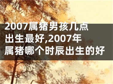 2007属猪男孩几点出生最好,2007年属猪哪个时辰出生的好