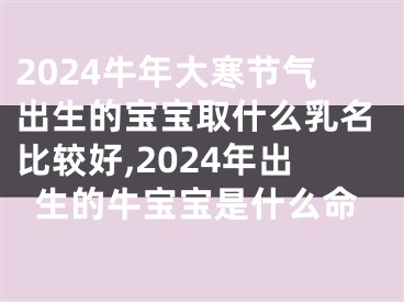 2024牛年大寒节气出生的宝宝取什么乳名比较好,2024年出生的牛宝宝是什么命