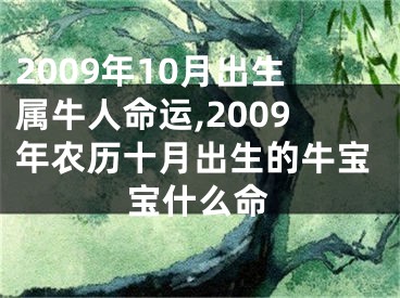2009年10月出生属牛人命运,2009年农历十月出生的牛宝宝什么命
