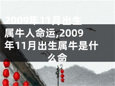 2009年11月出生属牛人命运,2009年11月出生属牛是什么命