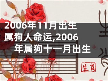 2006年11月出生属狗人命运,2006年属狗十一月出生