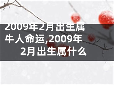 2009年2月出生属牛人命运,2009年2月出生属什么