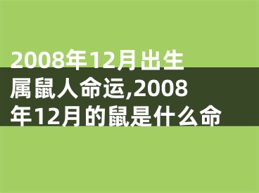 2008年12月出生属鼠人命运,2008年12月的鼠是什么命