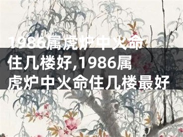 1986属虎炉中火命住几楼好,1986属虎炉中火命住几楼最好