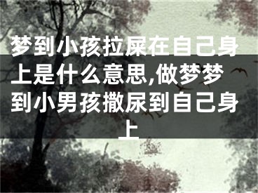 梦到小孩拉屎在自己身上是什么意思,做梦梦到小男孩撒尿到自己身上