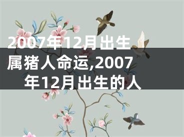 2007年12月出生属猪人命运,2007年12月出生的人