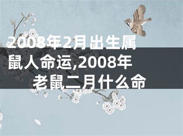 2008年2月出生属鼠人命运,2008年老鼠二月什么命