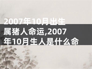 2007年10月出生属猪人命运,2007年10月生人是什么命