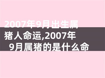 2007年9月出生属猪人命运,2007年9月属猪的是什么命