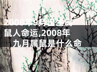 2008年9月出生属鼠人命运,2008年九月属鼠是什么命