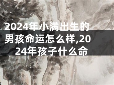 2024年小满出生的男孩命运怎么样,2024年孩子什么命