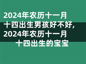 2024年农历十一月十四出生男孩好不好,2024年农历十一月十四出生的宝宝