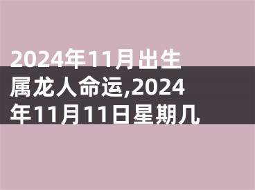 2024年11月出生属龙人命运,2024年11月11日星期几