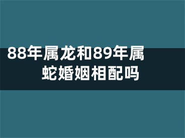 88年属龙和89年属蛇婚姻相配吗