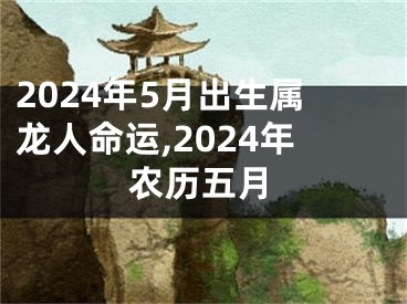 2024年5月出生属龙人命运,2024年农历五月