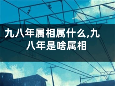 九八年属相属什么,九八年是啥属相