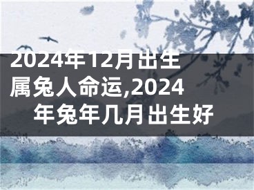 2024年12月出生属兔人命运,2024年兔年几月出生好