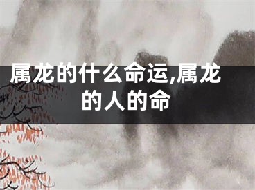 属龙的什么命运,属龙的人的命
