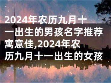 2024年农历九月十一出生的男孩名字推荐寓意佳,2024年农历九月十一出生的女孩