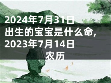 2024年7月31日出生的宝宝是什么命,2023年7月14日农历