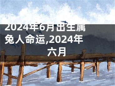 2024年6月出生属兔人命运,2024年六月
