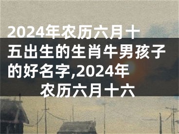 2024年农历六月十五出生的生肖牛男孩子的好名字,2024年农历六月十六