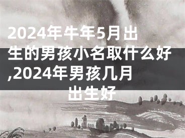 2024年牛年5月出生的男孩小名取什么好,2024年男孩几月出生好